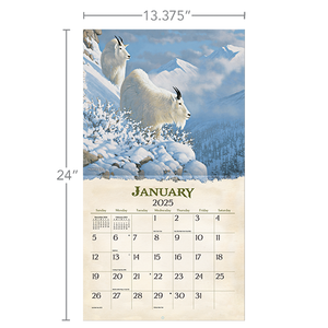 2025 Lang Calendar - Beyond the Woods