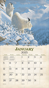 2025 Lang Calendar - Beyond the Woods