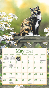 2025 Lang Calendar - Cats in the Country